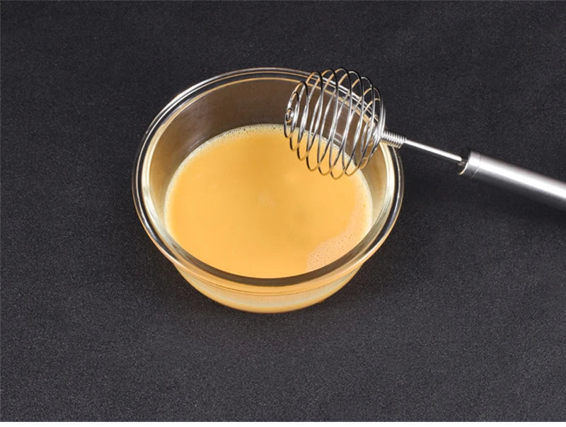 Stainless Steel Spring Coil Hand Whisk