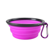 TPR Collapsible Pet Travel Bowl — 350 mL, 1 Piece