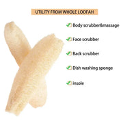 Natural Loofah Luffa Sponge Biodegradable Strong Cleaning Sponge Long Non-stick Dishwashing Artifact Pot Brush Dish Towels