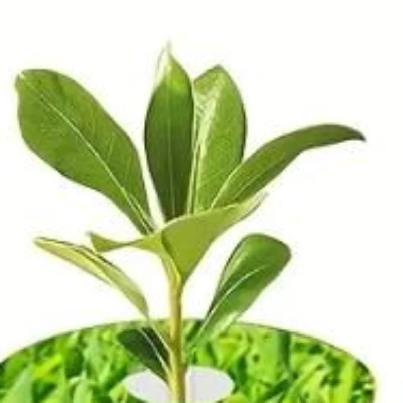 67-Piece Indoor Hydroponic Seed Pod Kit