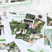 Seasonal Scenery Stickers — 50 or 200 Pieces