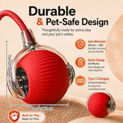 Rechargeable Rolling Cat Toy — Interactive Chase Ball