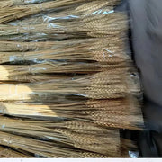 50pcs Artificial Flower Natural Dried Wheat Stalks DIY Craft Elegance Dry Wheat Spikes Rustic Dried Flowers Christmas Decoration