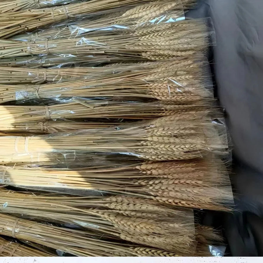 50pcs Artificial Flower Natural Dried Wheat Stalks DIY Craft Elegance Dry Wheat Spikes Rustic Dried Flowers Christmas Decoration