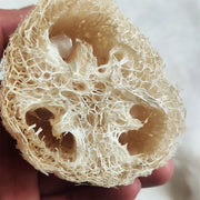 Natural Loofah Multi-Purpose Eco-Friendly Body Shower Sponge Home Cleaning Brush Exfoliating for Skin Tough on Stain Bathroom