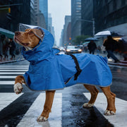 Polyester Hooded Dog Raincoat with Reflective Trim — L–6XL
