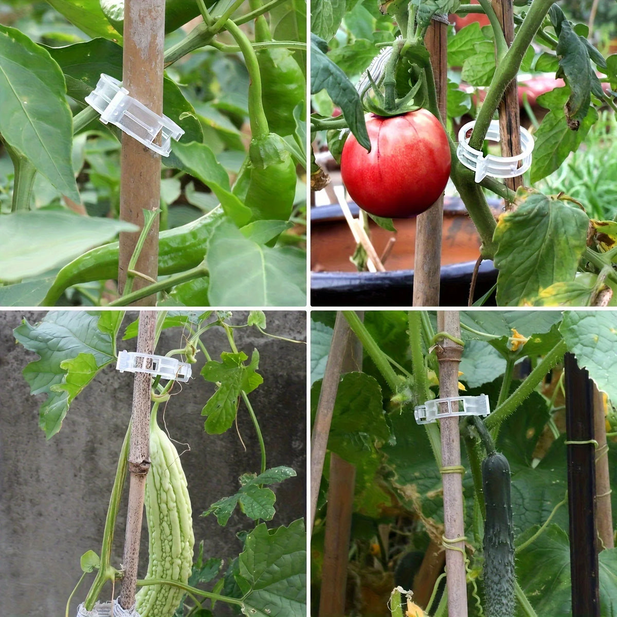 Plastic Plant Support Clips — Green or White, 100 Pieces