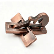 Novelty Gifts YangQin Lock Metal Brain Teaser Puzzles for Adults & Kids IQ Logic Training Disentanglement Take Apart Toys