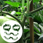 Plastic Plant Support Clips — Green or White, 100 Pieces