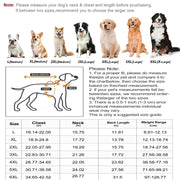 Polyester Hooded Dog Raincoat with Reflective Trim — L–6XL