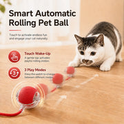 Rechargeable Rolling Cat Toy — Interactive Chase Ball