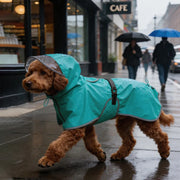 Polyester Hooded Dog Raincoat with Reflective Trim — L–6XL