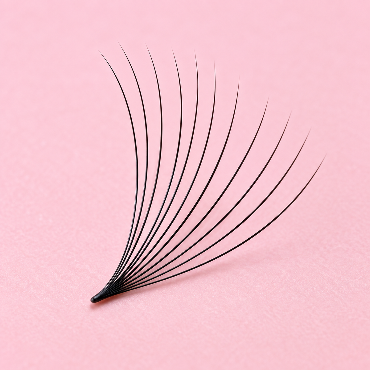 Single black 10D premade lash fan shown in close-up