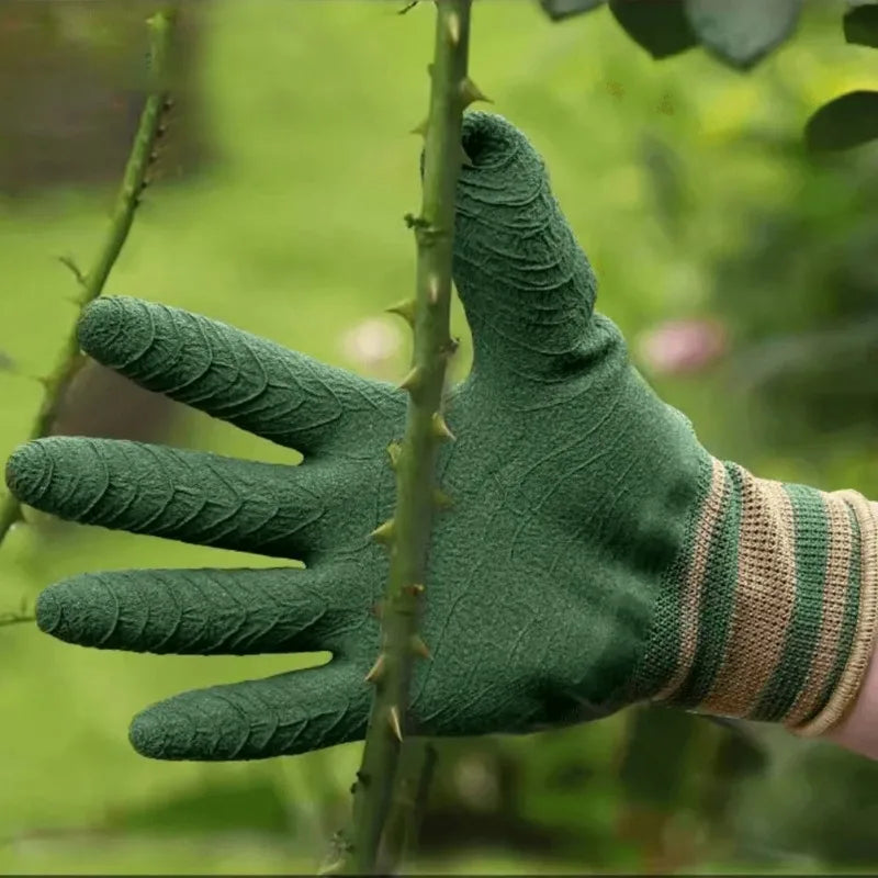 Gardening gloves worn for light plant handling; not certified thorn protection