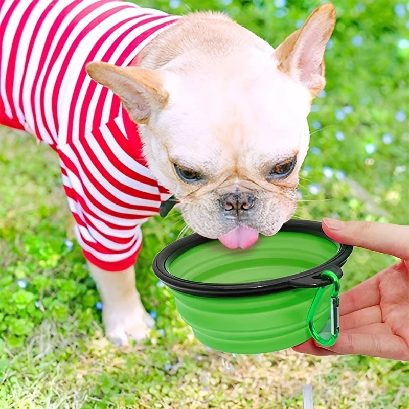 TPR Collapsible Pet Travel Bowl — 350 mL, 1 Piece