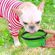 TPR Collapsible Pet Travel Bowl — 350 mL, 1 Piece