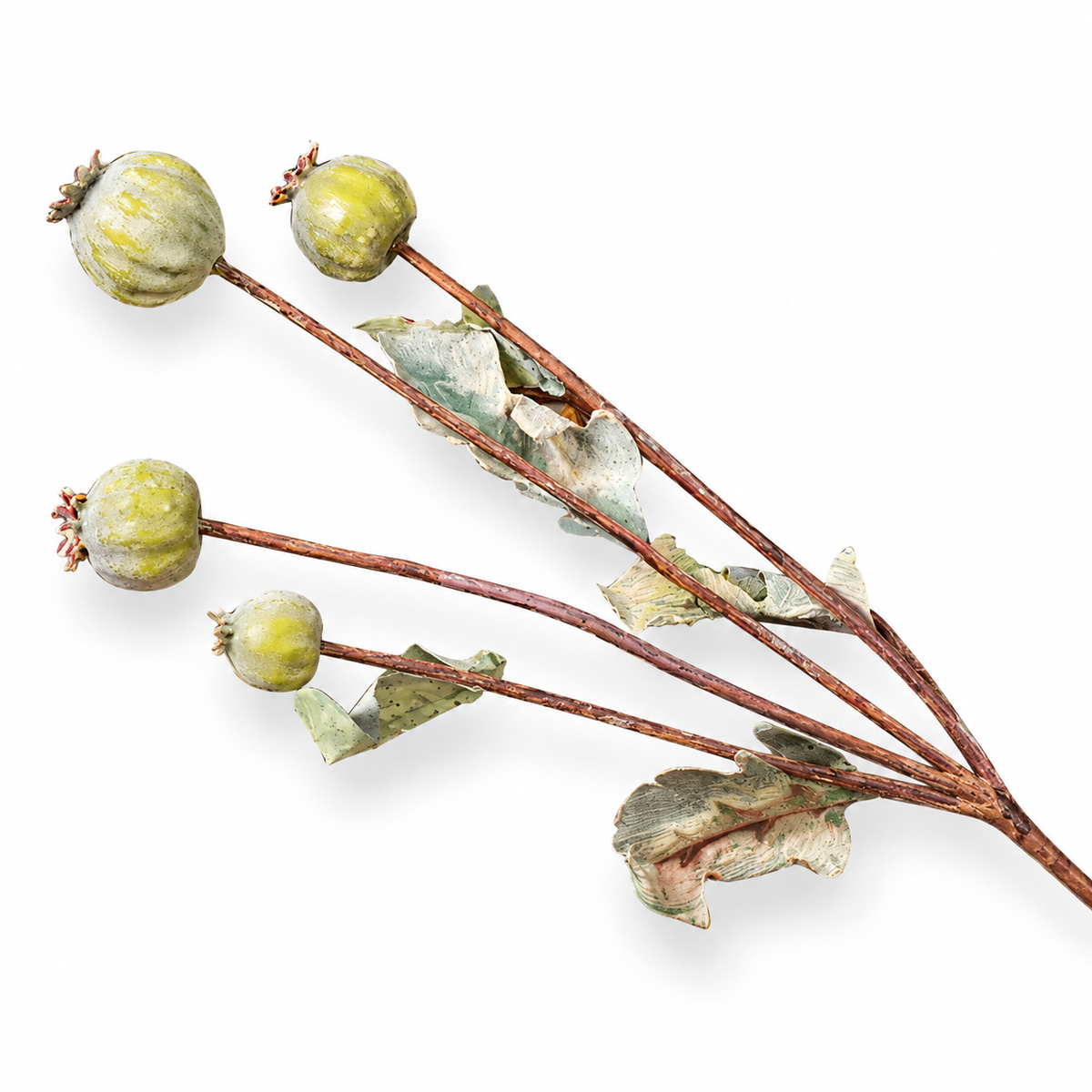 Artificial Seed-Pod Decorative Stem — 1 Piece, Selected Color