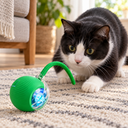 Cat playing with green rolling chase toy in a living room, scene 2